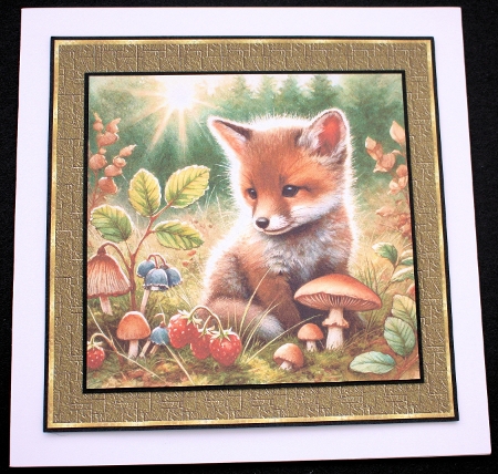  Fox Cubs by Marion Kimberley-Scott