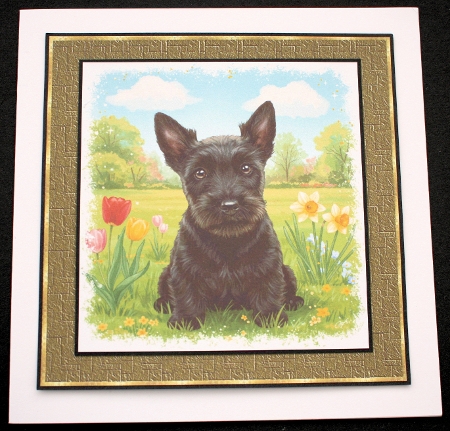 Spring Park Pups 12 by Marion Kimberley-Scott