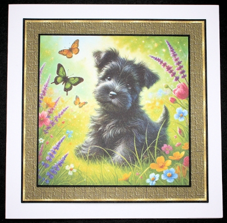 Butterfly Garden Pups 12 by Marion Kimberley-Scott