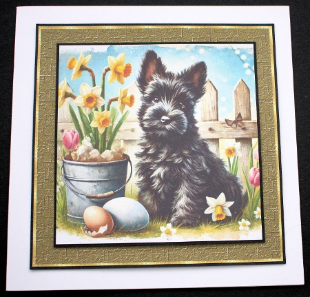 Spring Garden Pups 11 by Marion Kimberley-Scott