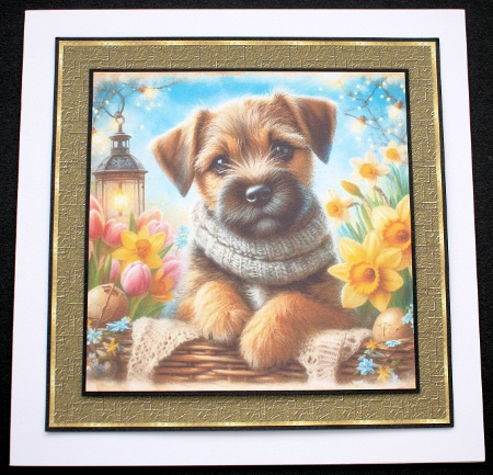 Spring Garden Pups 11 by Marion Kimberley-Scott