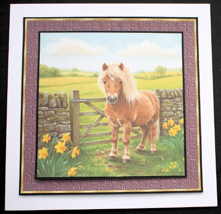 Spring  Pony  by Marion Kimberley-Scott