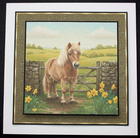 Spring  Pony  by Marion Kimberley-Scott