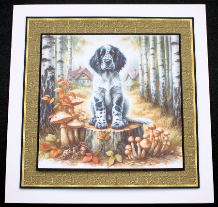 Mushroom Forest Pups 17 by Marion Kimberley-Scott