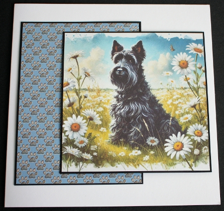 Paw Prints Backing Paper Blue A4 by Marion Kimberley-Scott