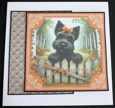 Paw Prints Backing Paper Peach A4 by Marion Kimberley-Scott