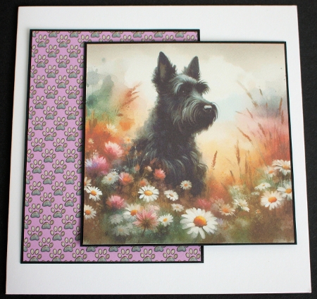 Paw Prints Backing Paper Pink A4 by Marion Kimberley-Scott