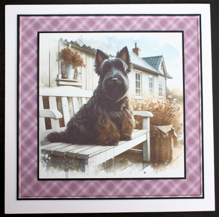 Bench Pups 12 by Marion Kimberley-Scott