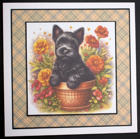 Flower Pot Pups 11 by Marion Kimberley-Scott