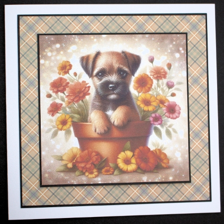 Flower Pot Pups 11 by Marion Kimberley-Scott