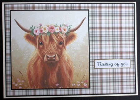 Floral Crown Cows by Marion Kimberley-Scott