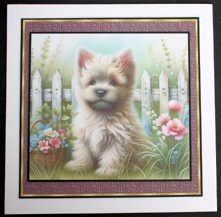 6x6 Puppy Collection - Cairn Terrier - Illustrations for Cardmaking & Designers by Marion Kimberley-Scott