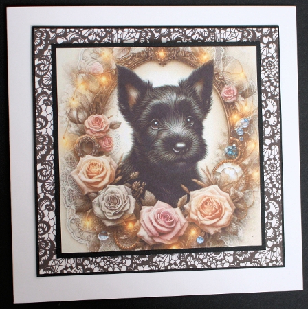 Timeless Reflection  Pups 11 by Marion Kimberley-Scott