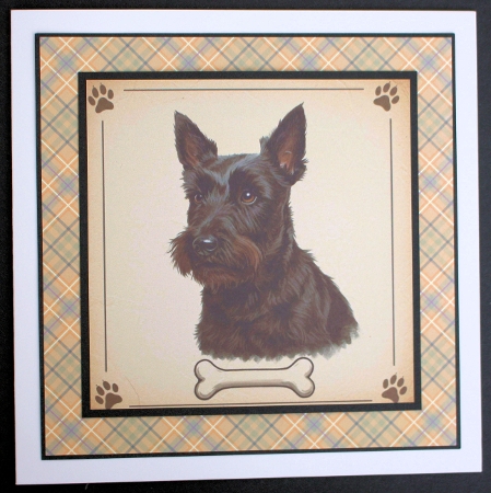 Paw Prints 13 by Marion Kimberley-Scott
