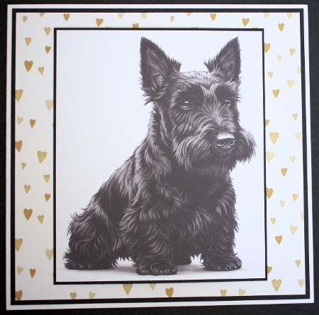 Fine Pencil Dog Prints 11 by Marion Kimberley-Scott