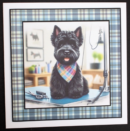 Parlour Pups 11 by Marion Kimberley-Scott