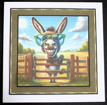 Donkey by Marion Kimberley-Scott