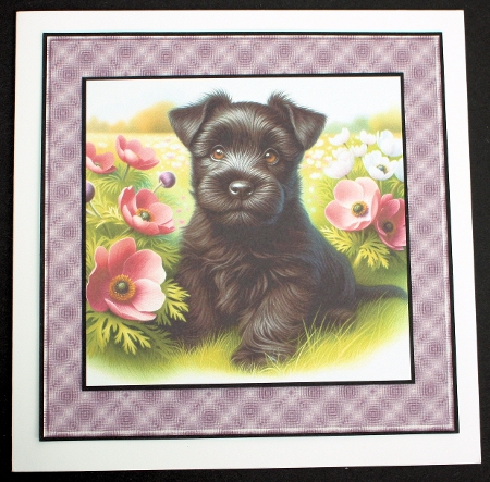 Floral Pups 11 by Marion Kimberley-Scott