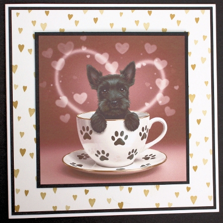 Teacup Pups by Marion Kimberley-Scott