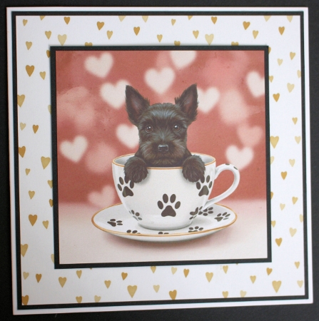 Teacup Pups by Marion Kimberley-Scott