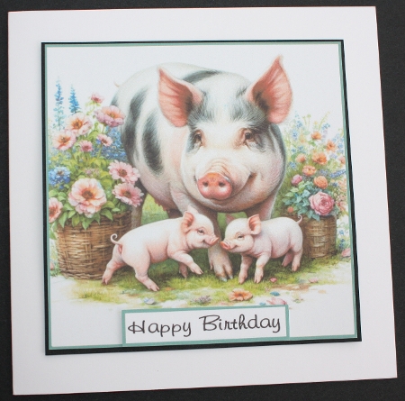 Animal babies by Marion Kimberley-Scott