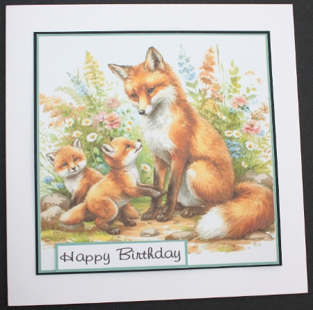 Animal babies by Marion Kimberley-Scott