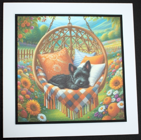 Beautiful Garden Swing Pups 12 by Marion Kimberley-Scott