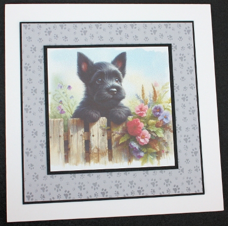 Garden Fence Pups 12 by Marion Kimberley-Scott