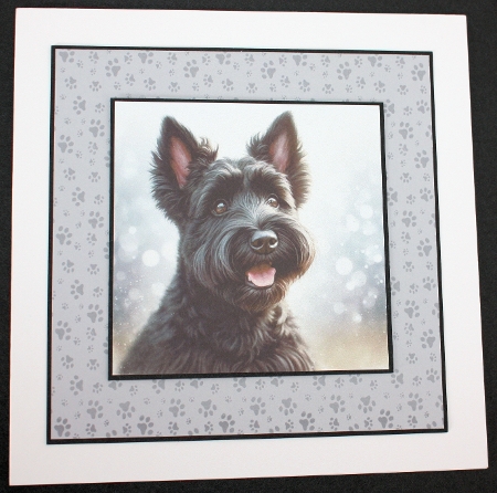 Talk To The Paw 11 by Marion Kimberley-Scott