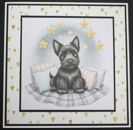 Starry Cushion Pups 12 by Marion Kimberley-Scott