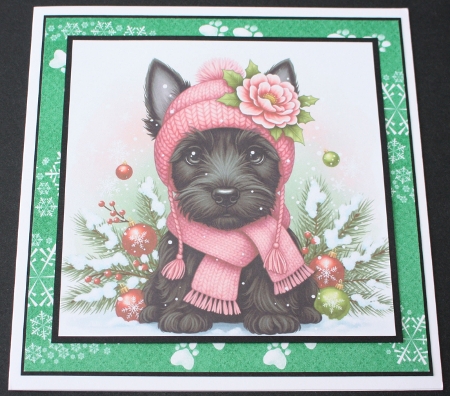 Pink Winter Pups 13 by Marion Kimberley-Scott