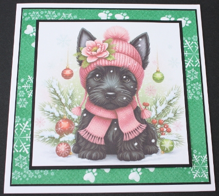 Pink Winter Pups 14 by Marion Kimberley-Scott