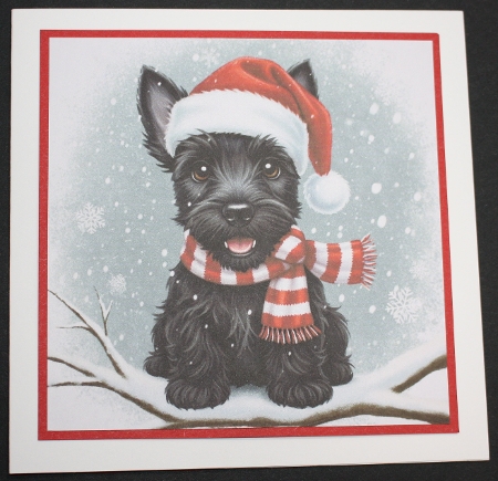 Snow Branch Pups 3 by Marion Kimberley-Scott