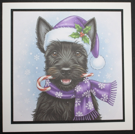 Candy cane Dogs 2 by Marion Kimberley-Scott