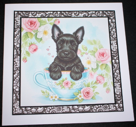 Sweet Teacup Pups 5 by Marion Kimberley-Scott