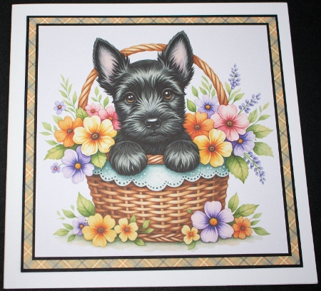  Spring Basket 3 by Marion Kimberley-Scott