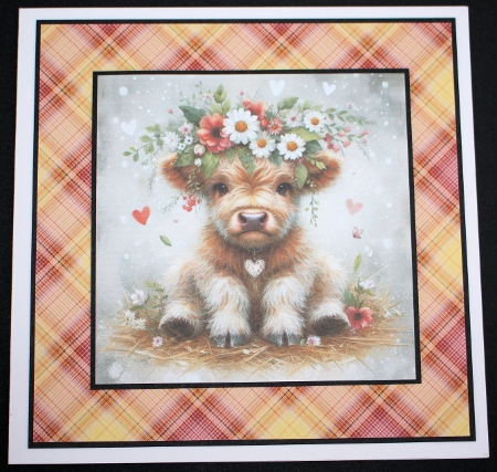 Cute Highland  cows by Marion Kimberley-Scott