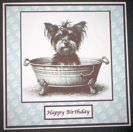 Dogs in the Bath by Marion Kimberley-Scott