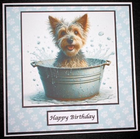 Dogs in the Bath by Marion Kimberley-Scott