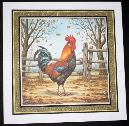 Cockerels  by Marion Kimberley-Scott