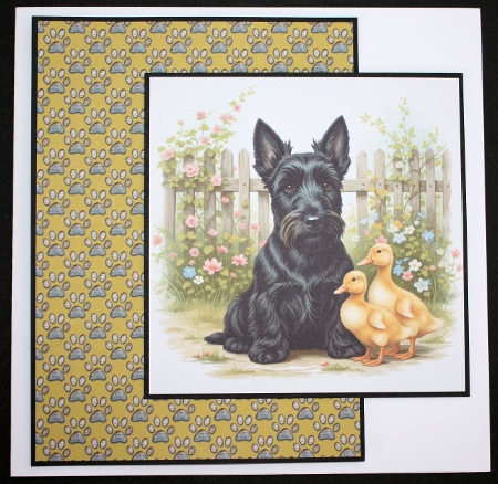 Hello Ducky 5 by Marion Kimberley-Scott