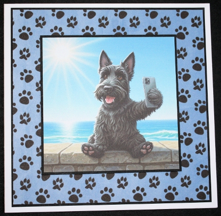 Selfie Paws 2 by Marion Kimberley-Scott