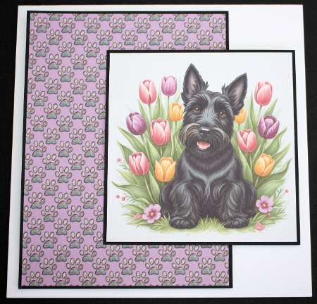 Tulip Dogs 4 by Marion Kimberley-Scott