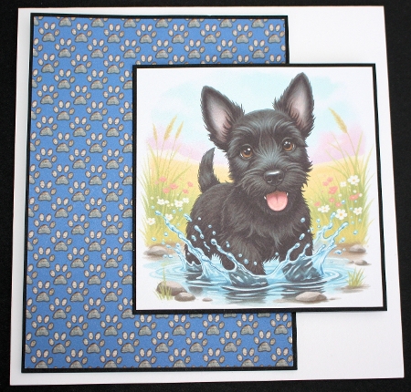 Puddle pups 4 by Marion Kimberley-Scott