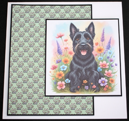 Flower garden 3 by Marion Kimberley-Scott