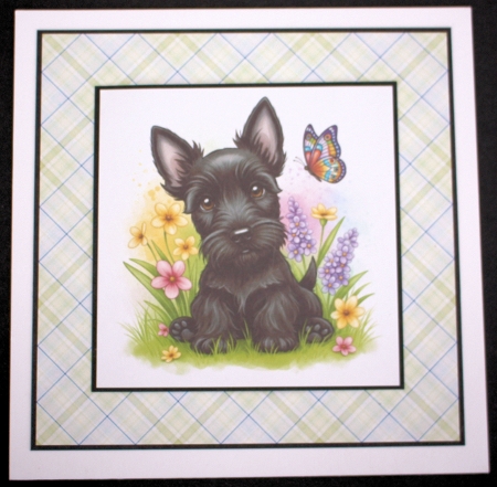 Butterfly pups 2 by Marion Kimberley-Scott
