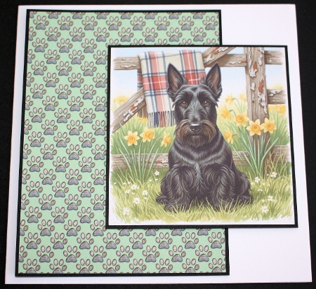 Spring daffodils 3 by Marion Kimberley-Scott