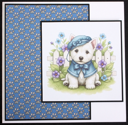 Dress up pup  by Marion Kimberley-Scott
