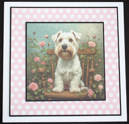 Chair  pup  by Marion Kimberley-Scott