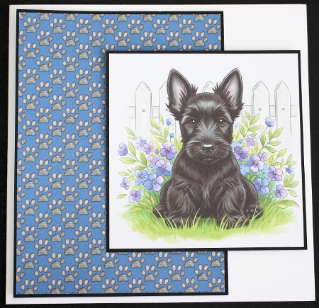 Picket fence pups 4 by Marion Kimberley-Scott